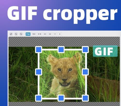 Free online Gif cropper, can batch crop Gifs, Easyconvert Gif tool